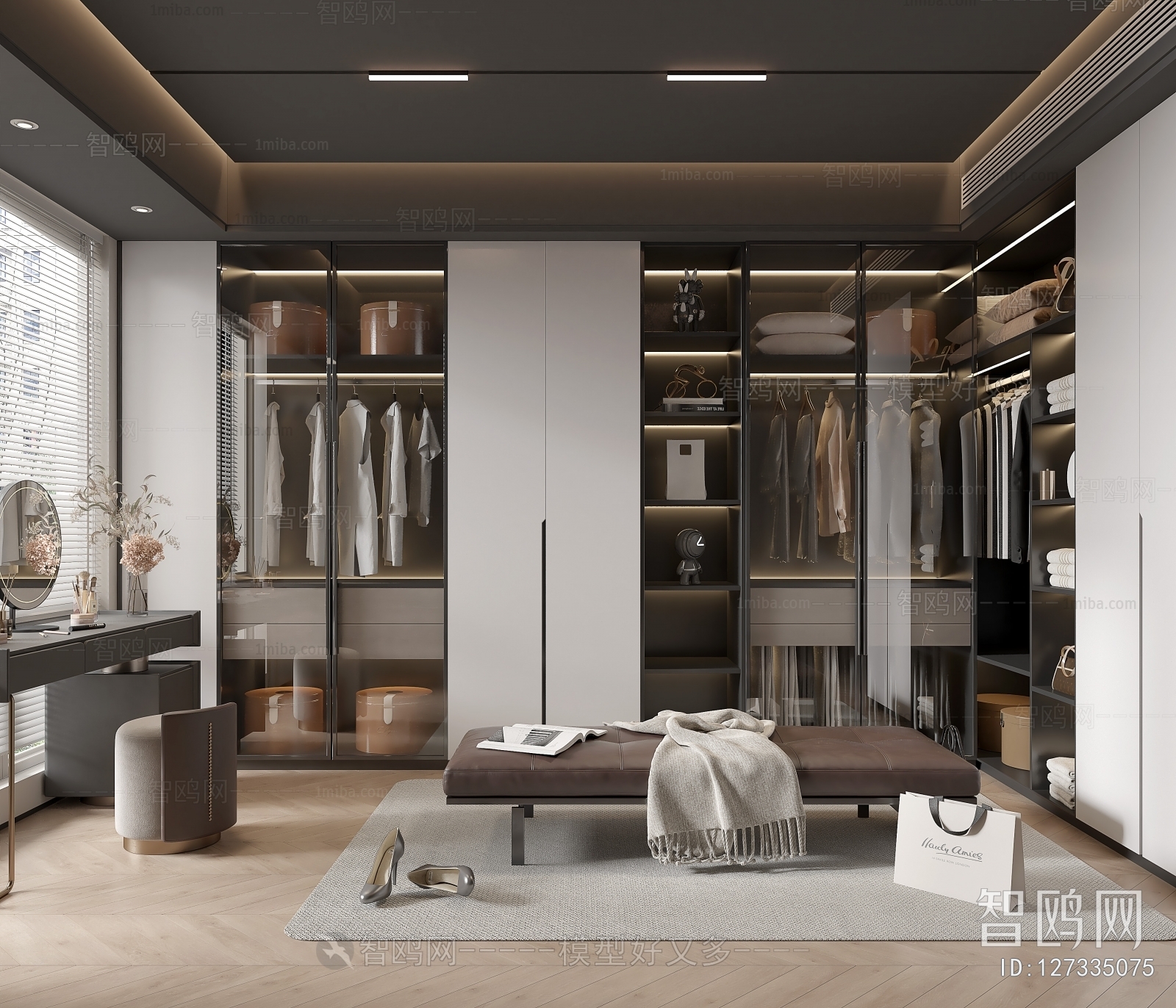 Modern Clothes Storage Area