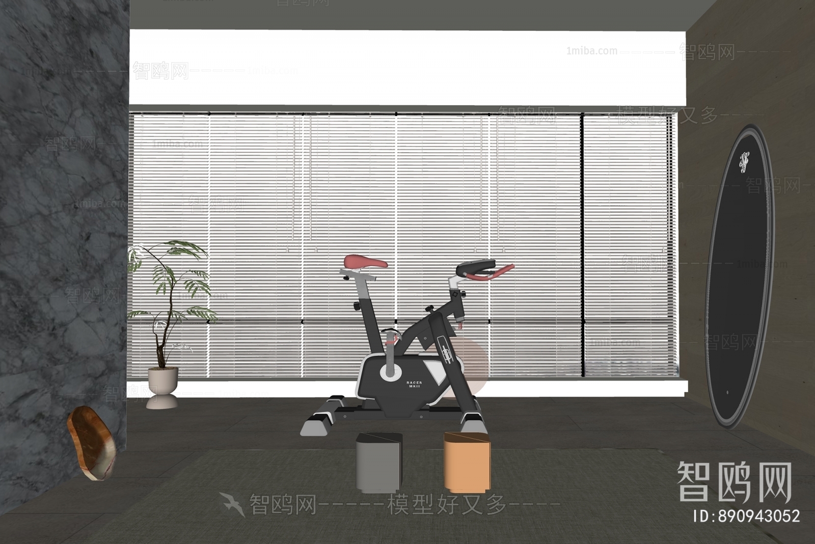 Modern Home Fitness Room