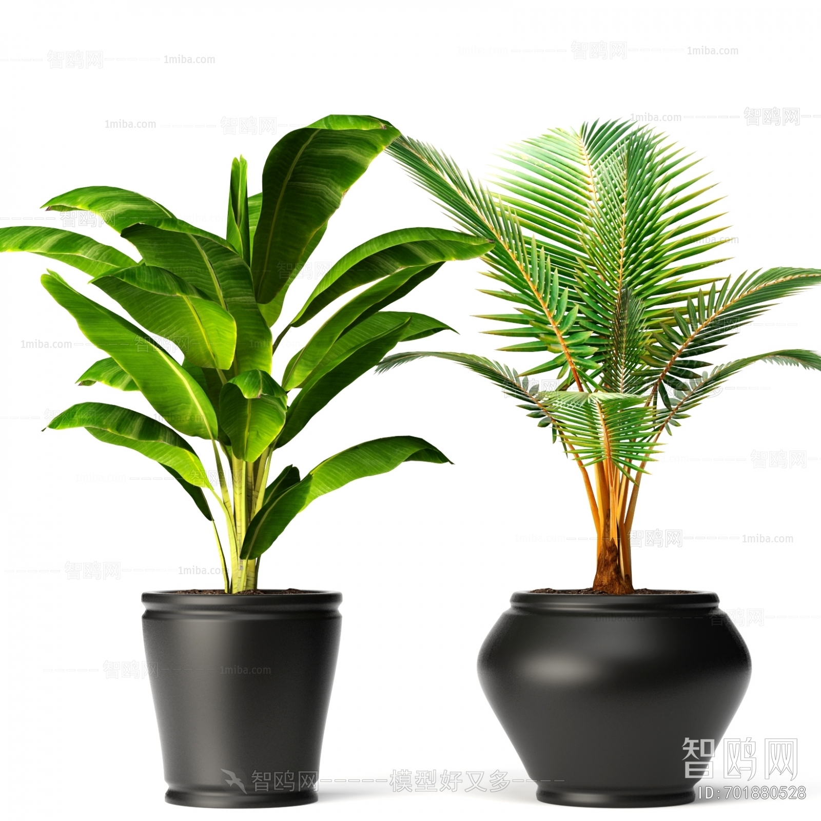 Modern Ground Green Plant Potted Plants