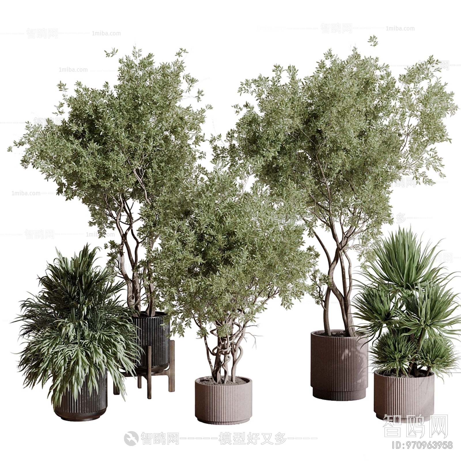 Modern Ground Green Plant Potted Plants