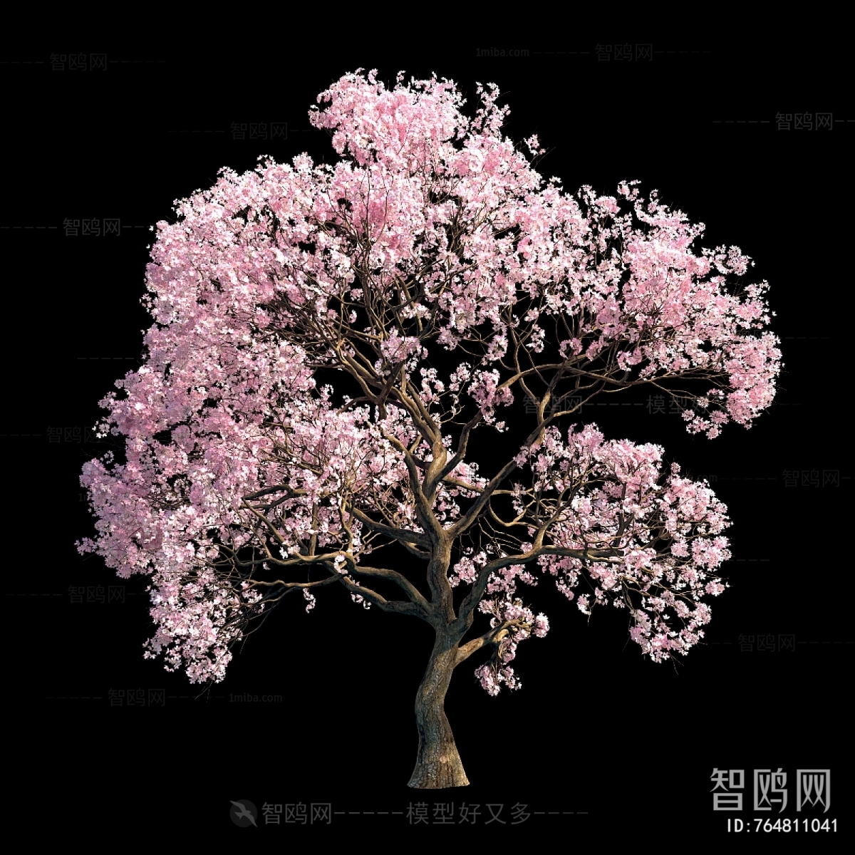 现代樱花树 景观树