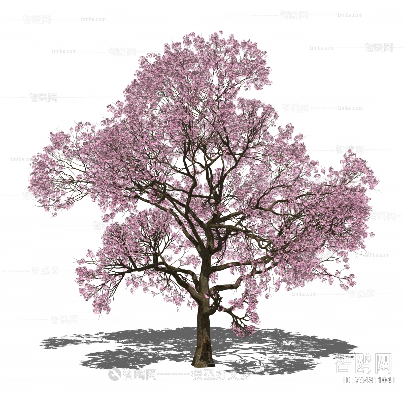 现代樱花树 景观树