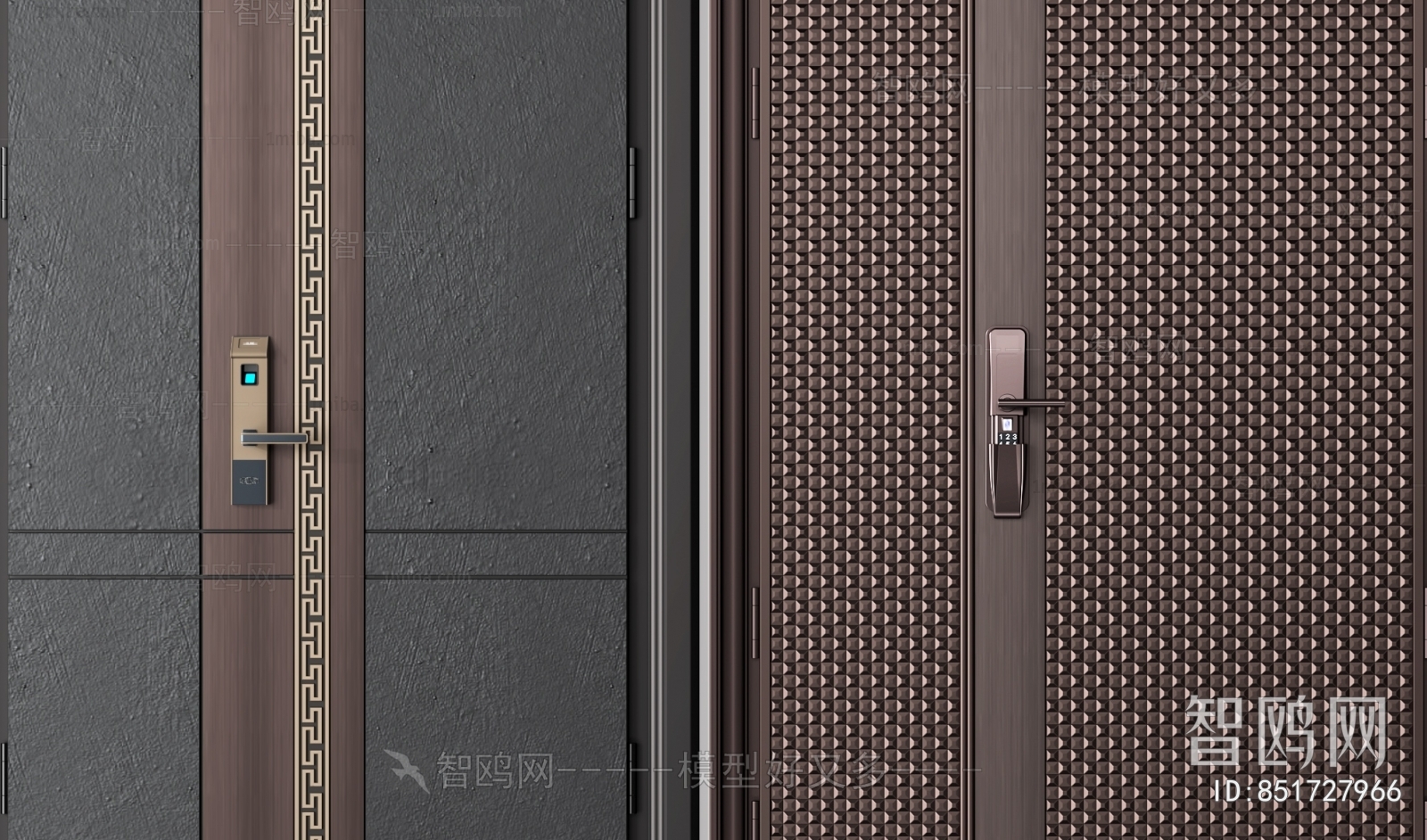 Modern Entrance Door