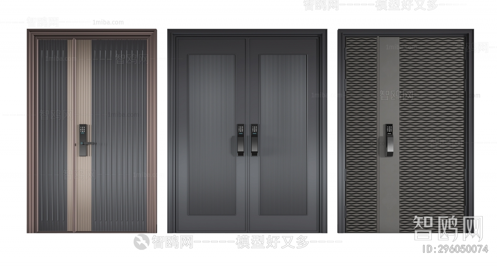 Modern Entrance Door