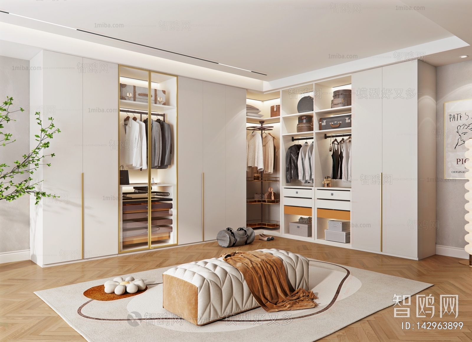 Modern Clothes Storage Area