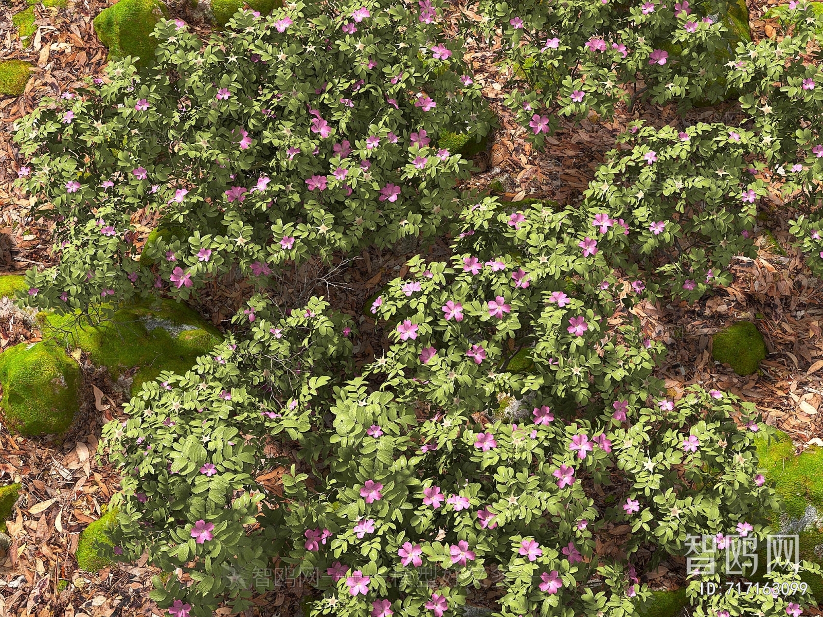 Modern Flowers And Grass