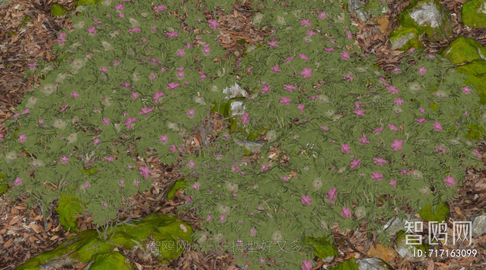 Modern Flowers And Grass