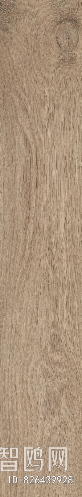 Wood Texture