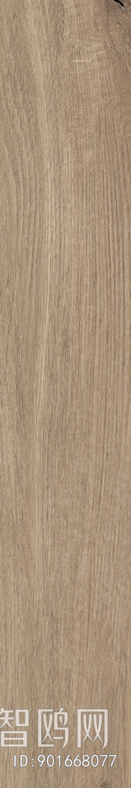 Wood Texture