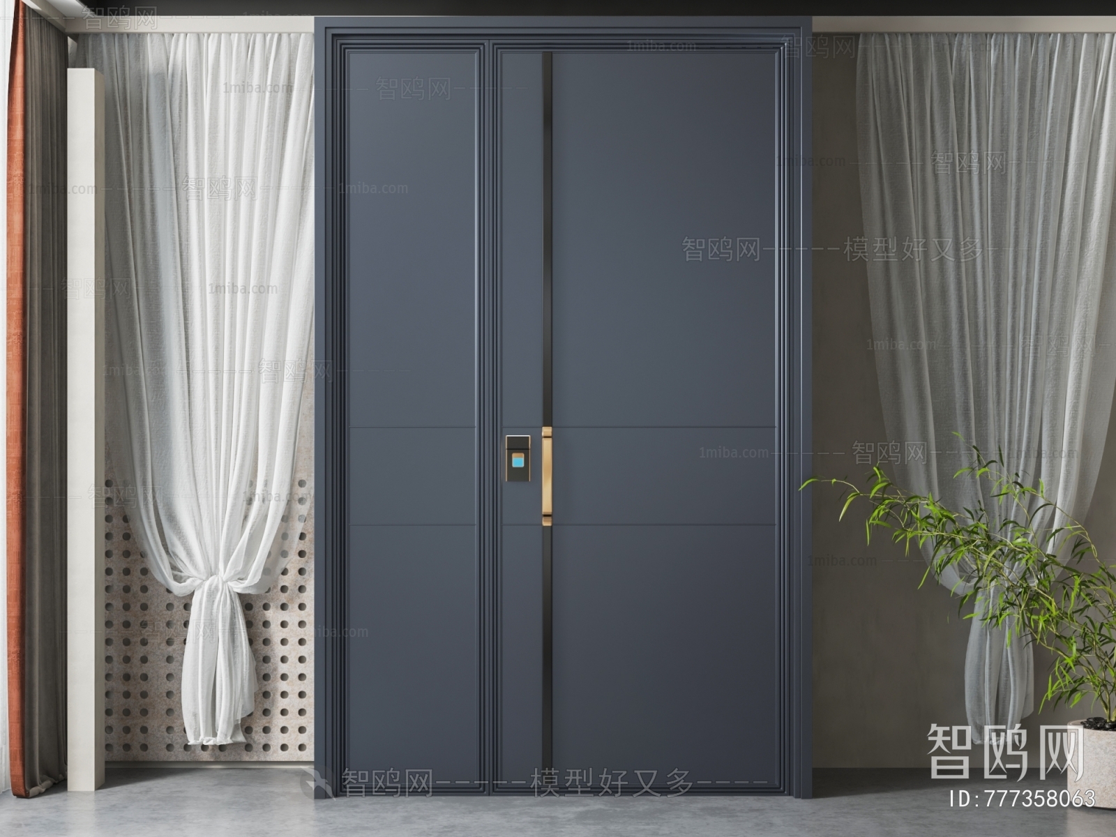 Modern Entrance Door