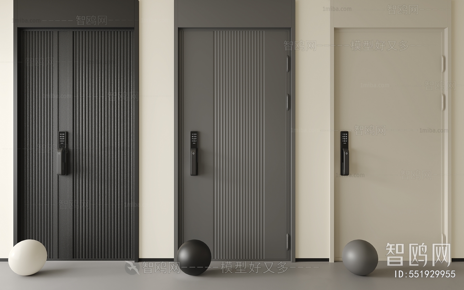 Modern Entrance Door