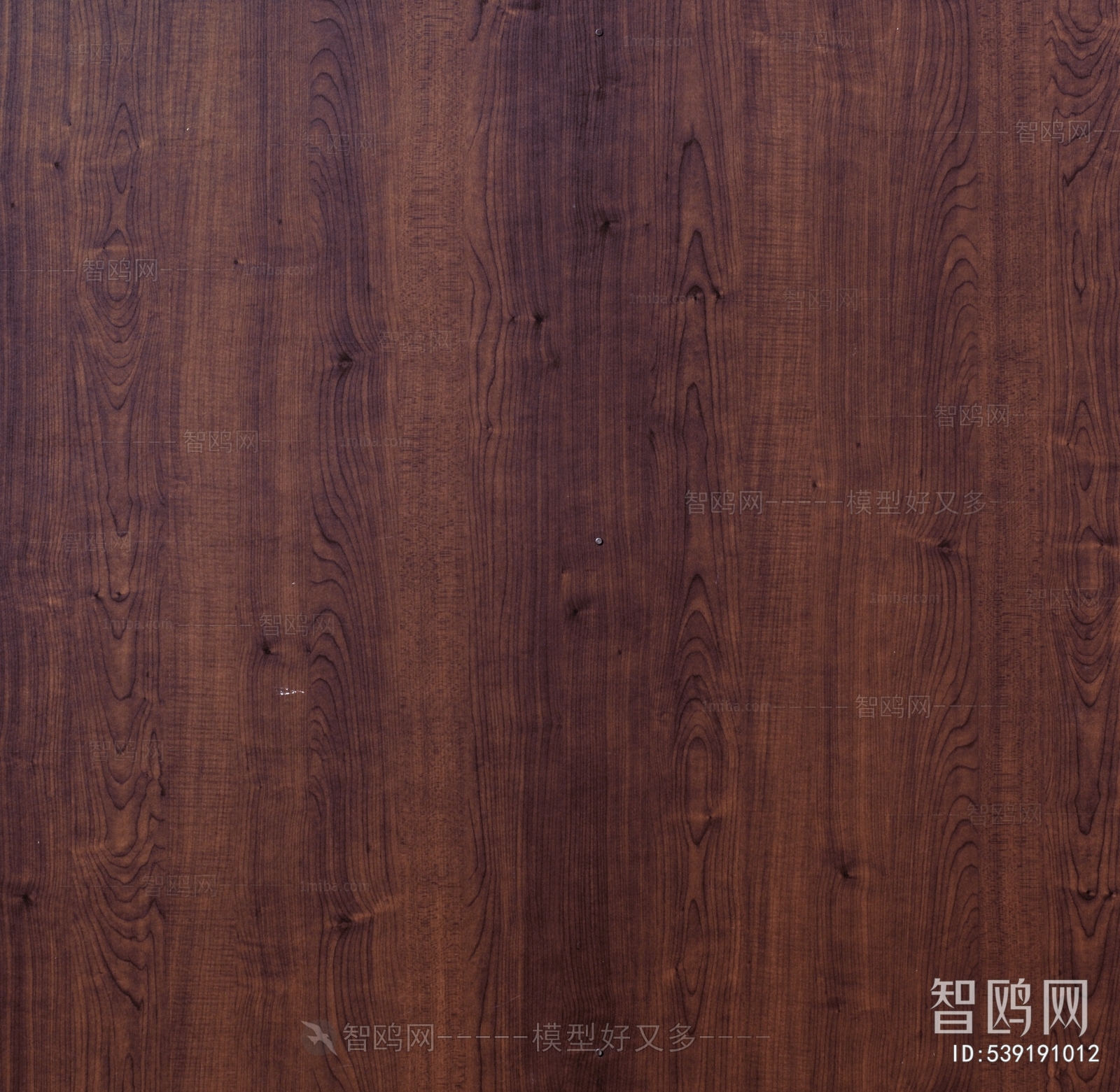 Wood Texture