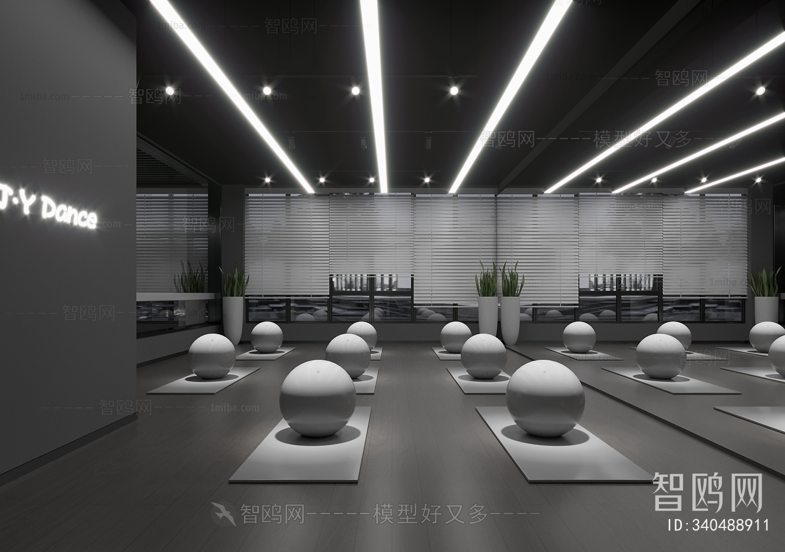 Modern Yoga Room