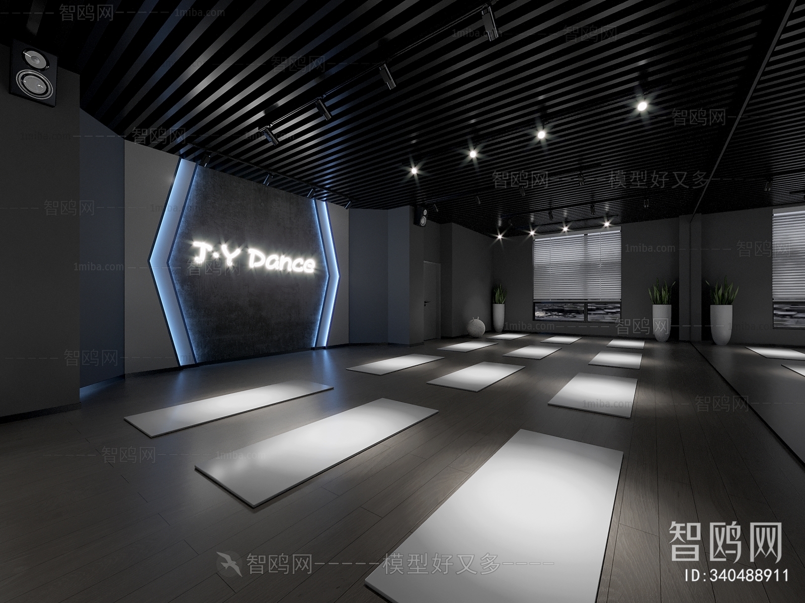 Modern Yoga Room