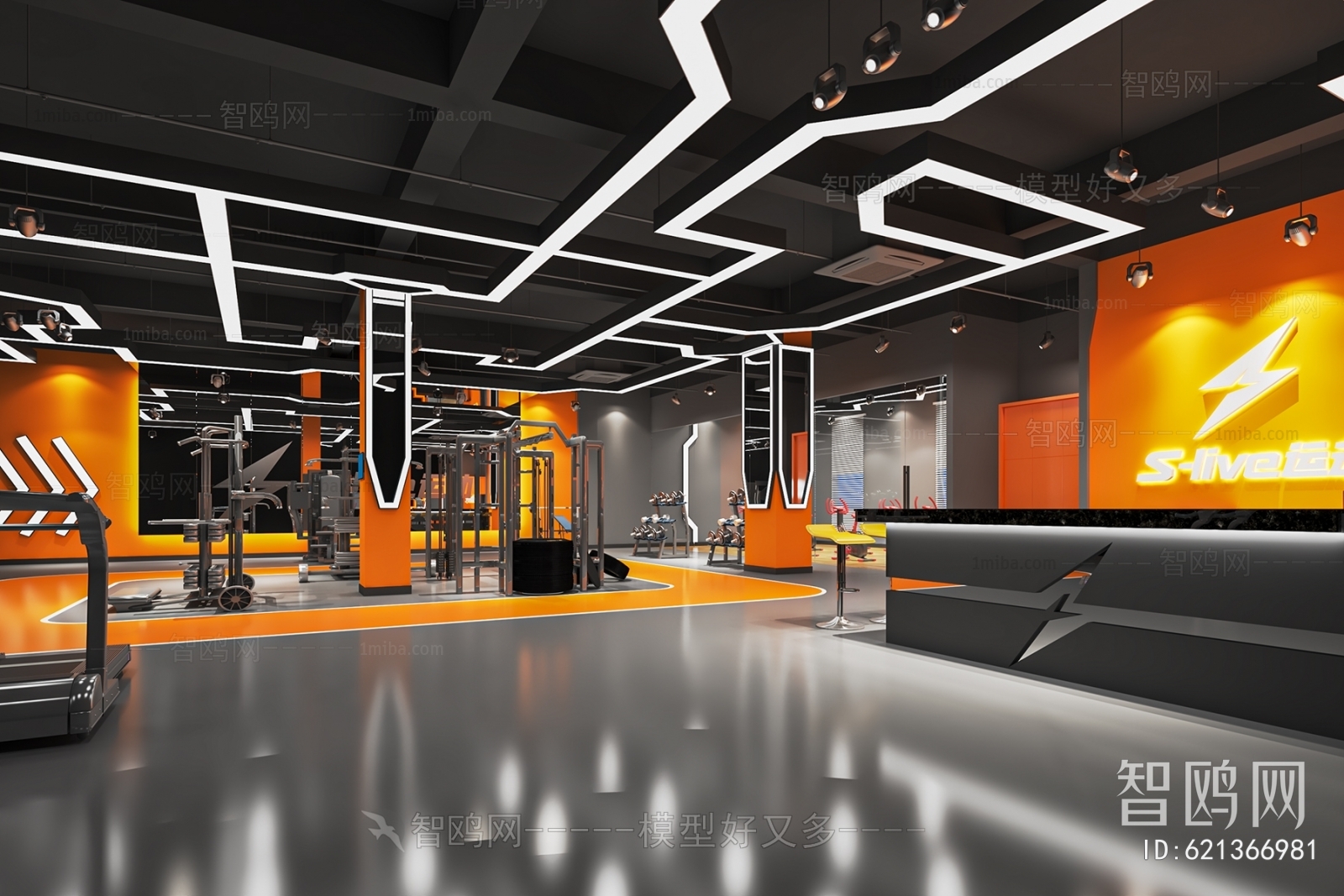 Modern Gym