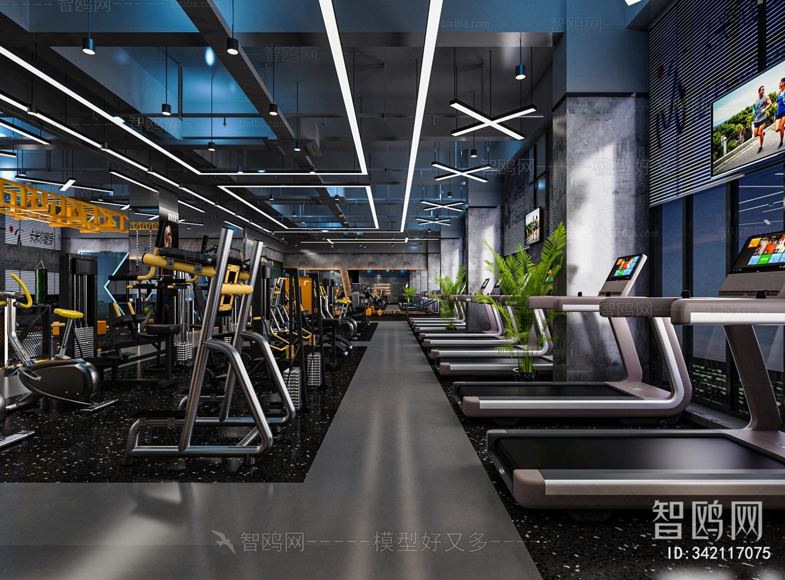 Modern Gym