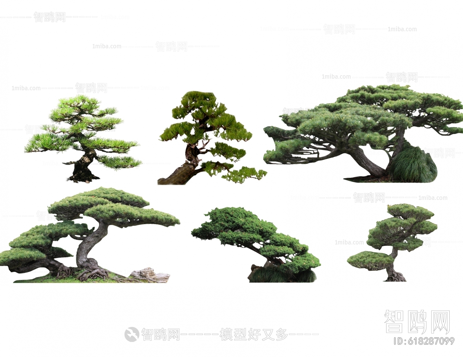 新中式景观树造型罗汉松
