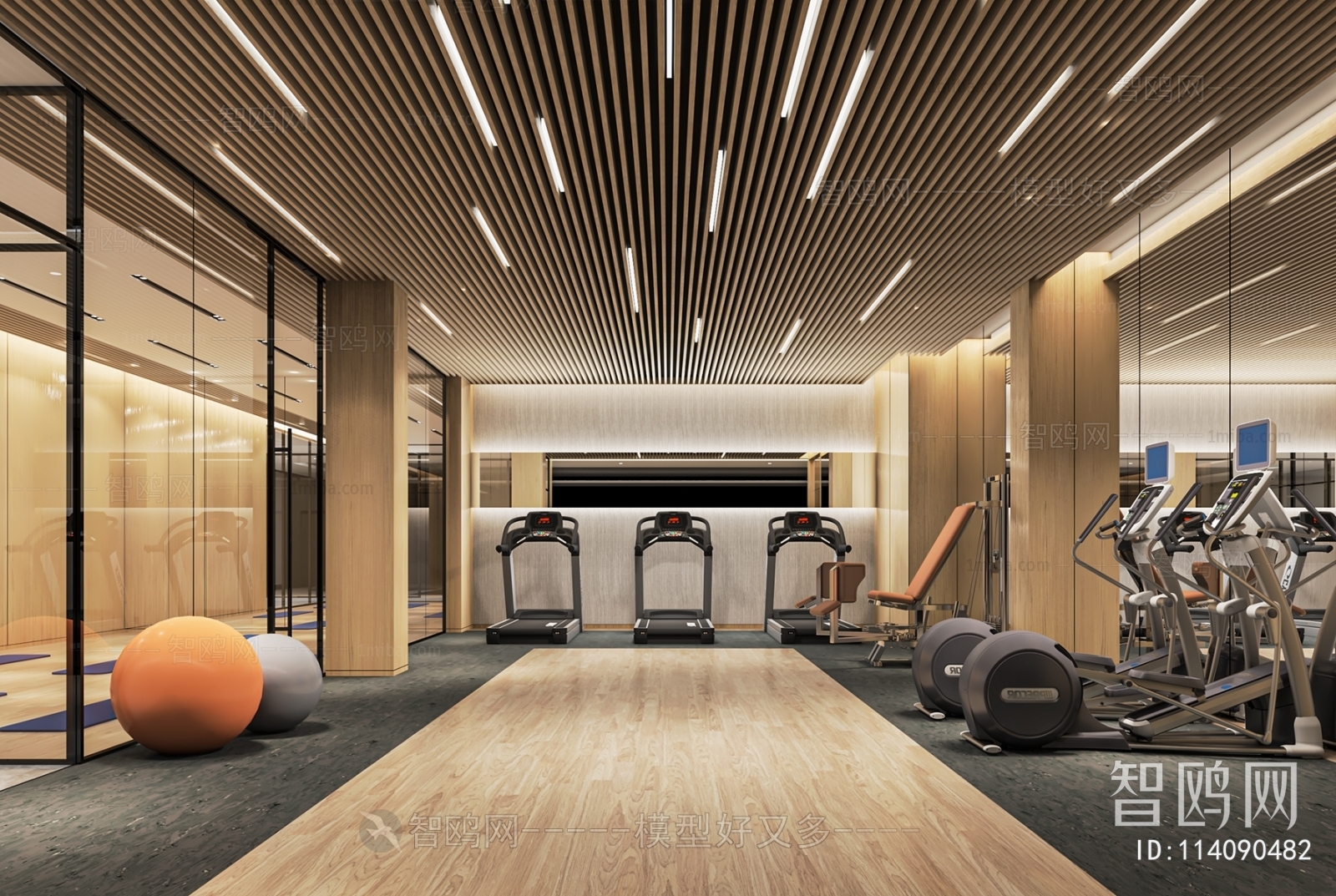 Modern Gym