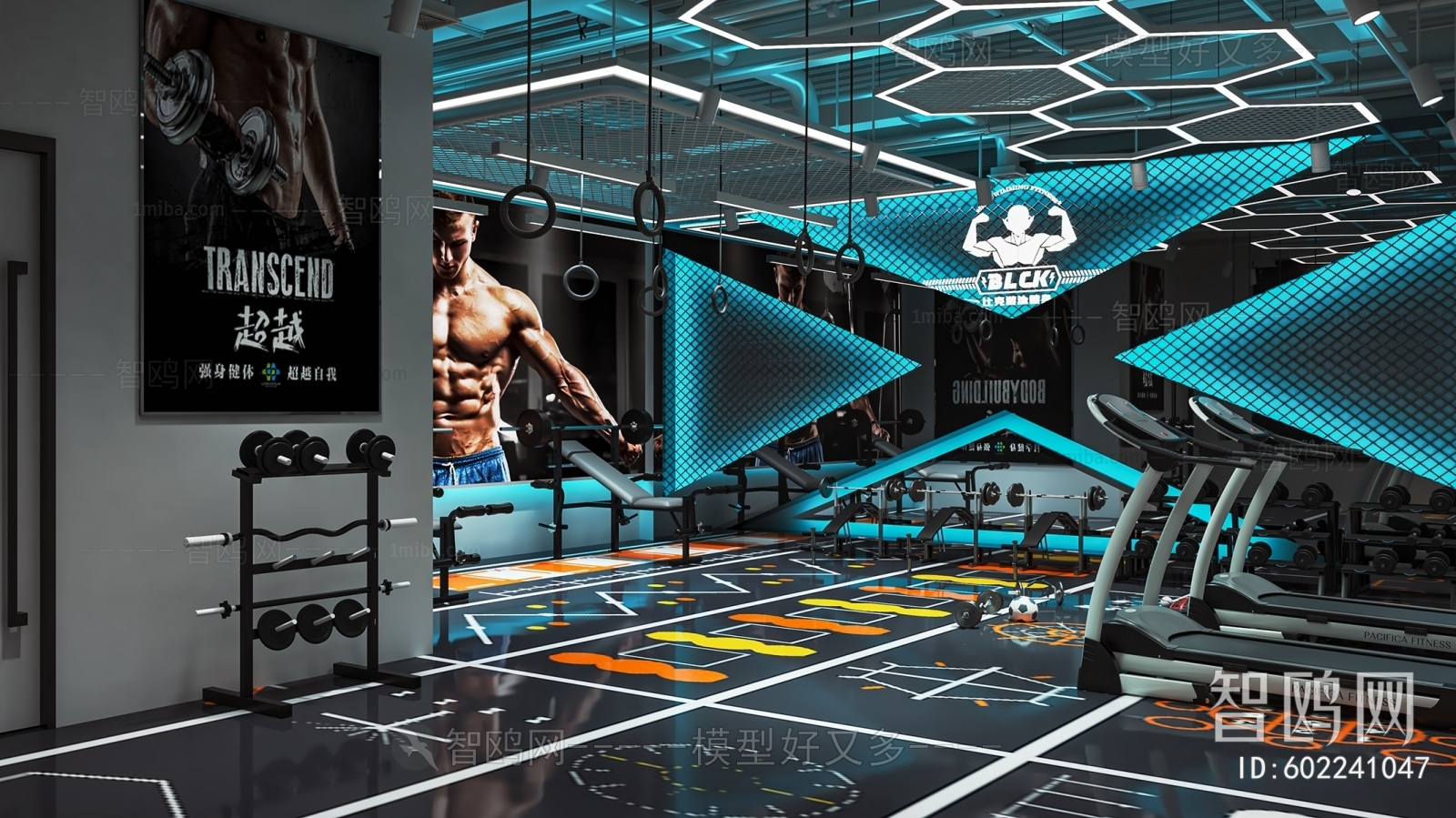 Modern Gym