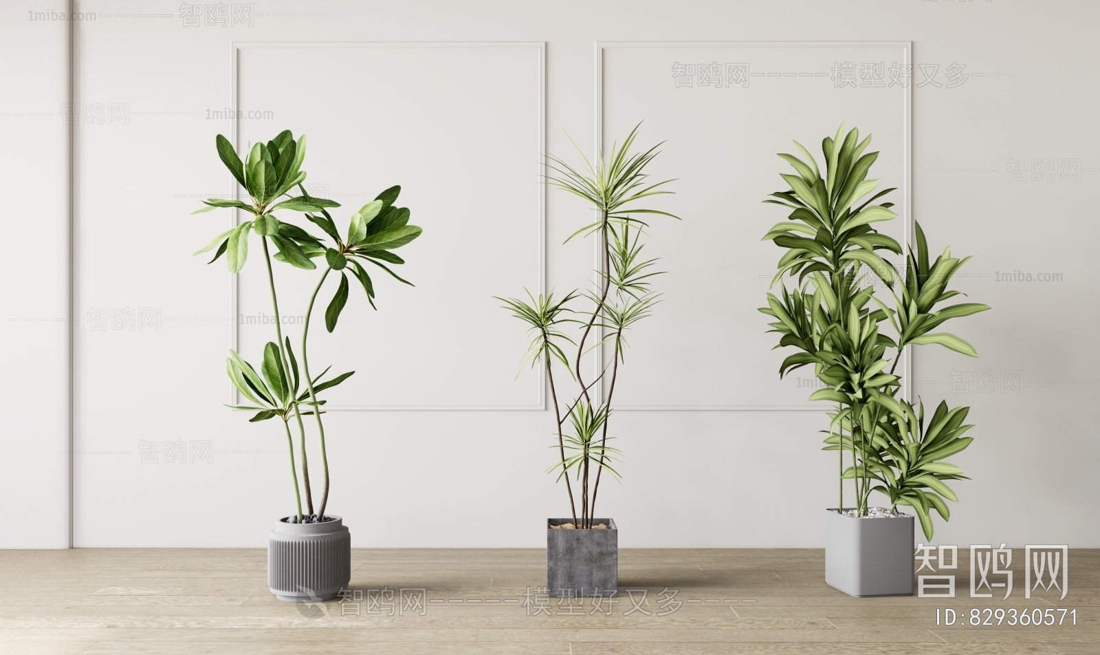 Modern Ground Green Plant Potted Plants