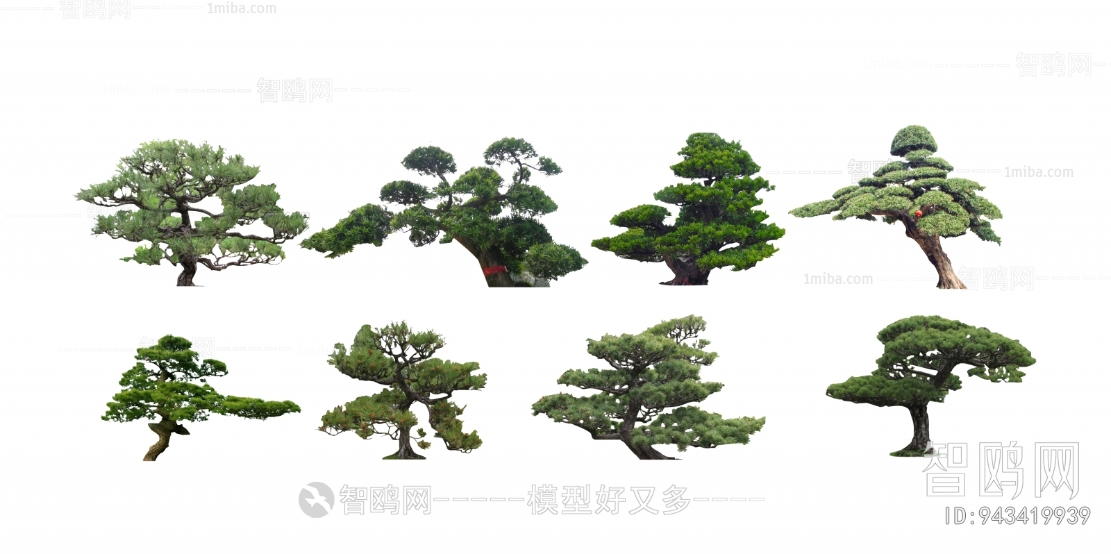 新中式景观树造型罗汉松