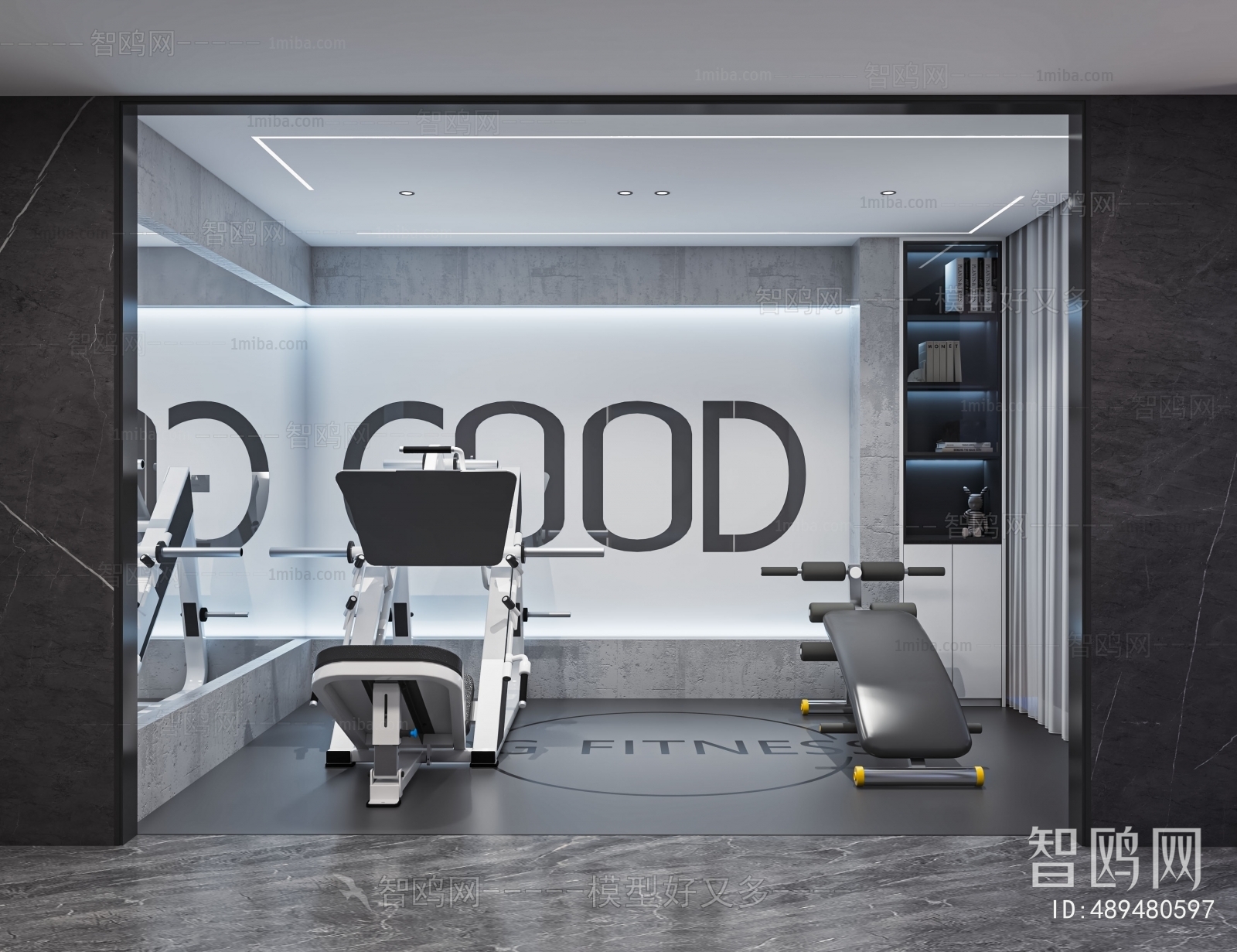 Modern Home Fitness Room