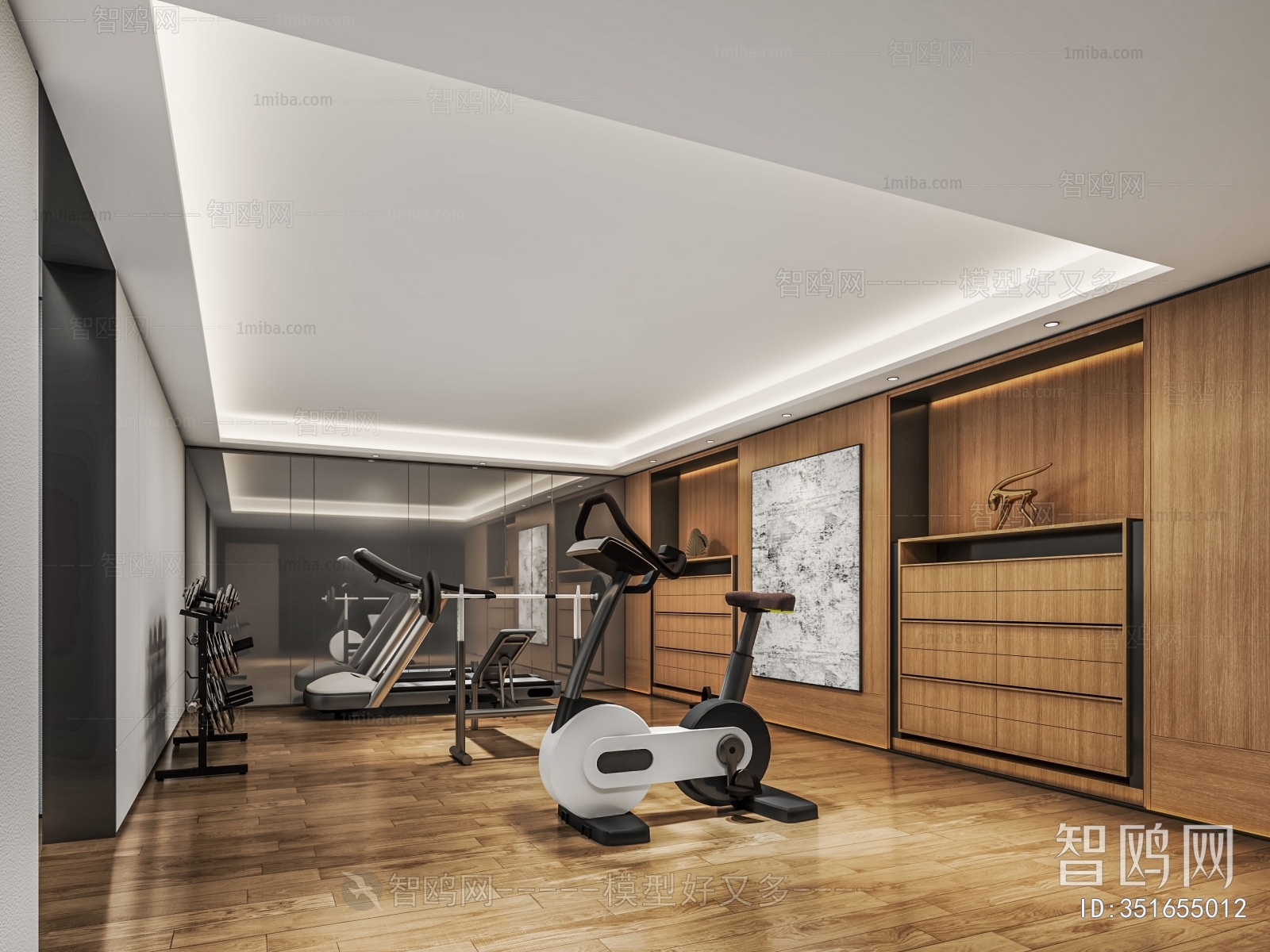 Modern Home Fitness Room