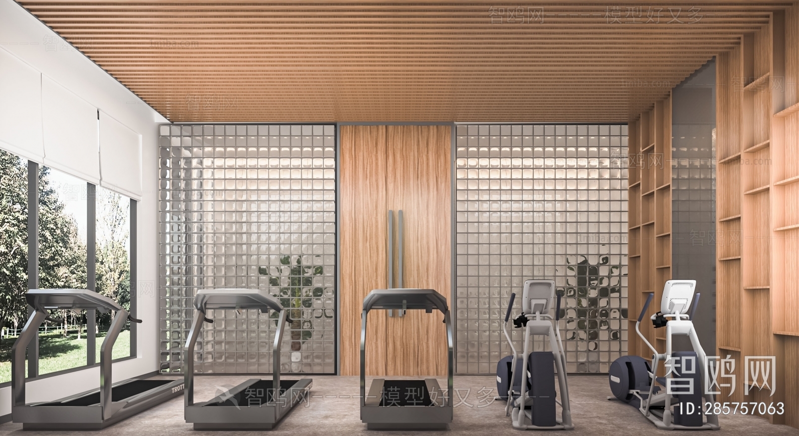 Modern Home Fitness Room