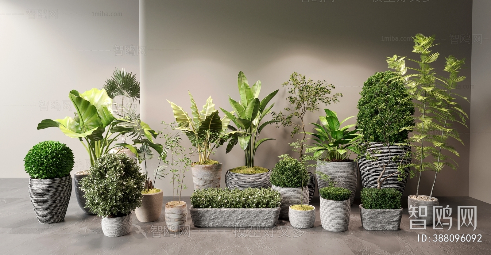 Modern Ground Green Plant Potted Plants