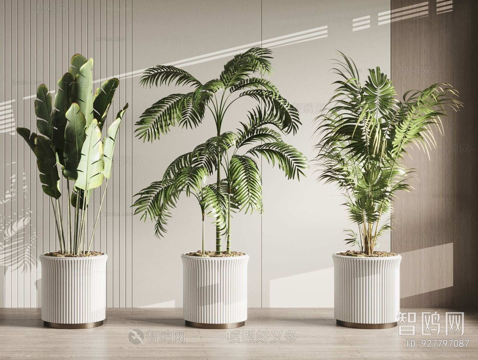 Modern Ground Green Plant Potted Plants