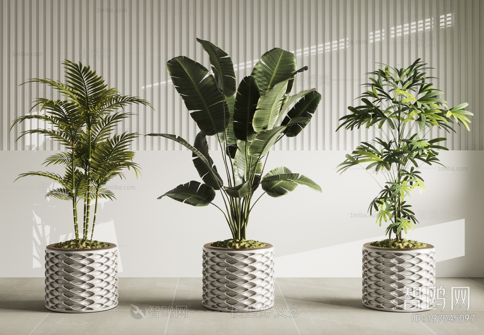 Modern Ground Green Plant Potted Plants