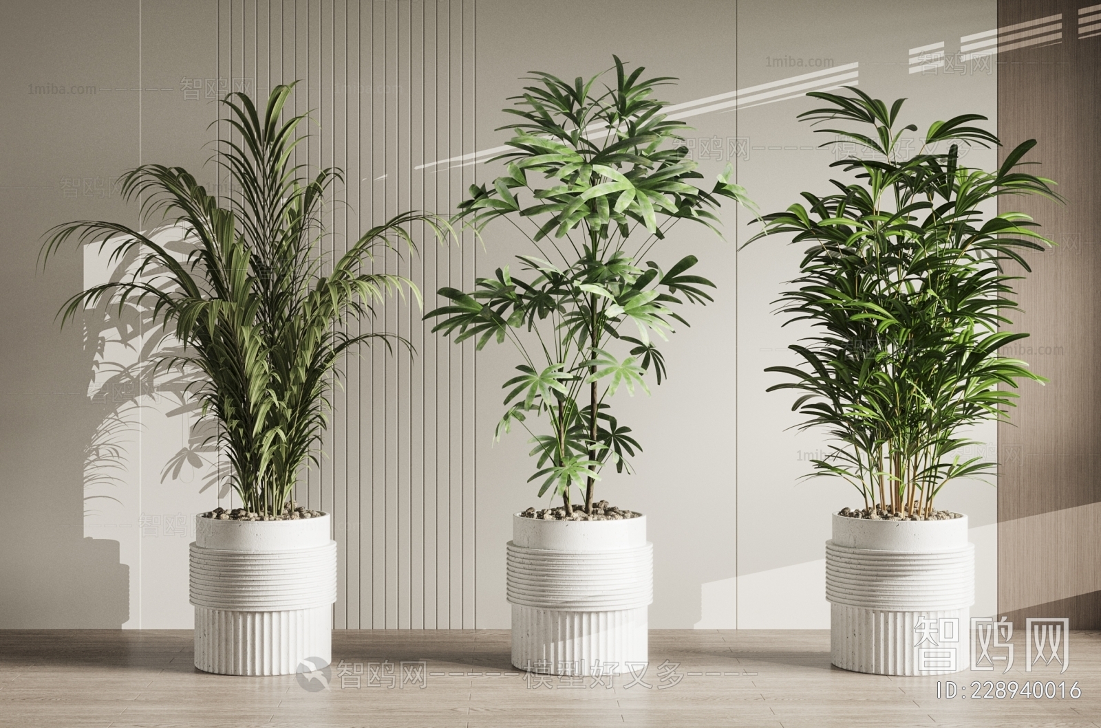 Modern Ground Green Plant Potted Plants