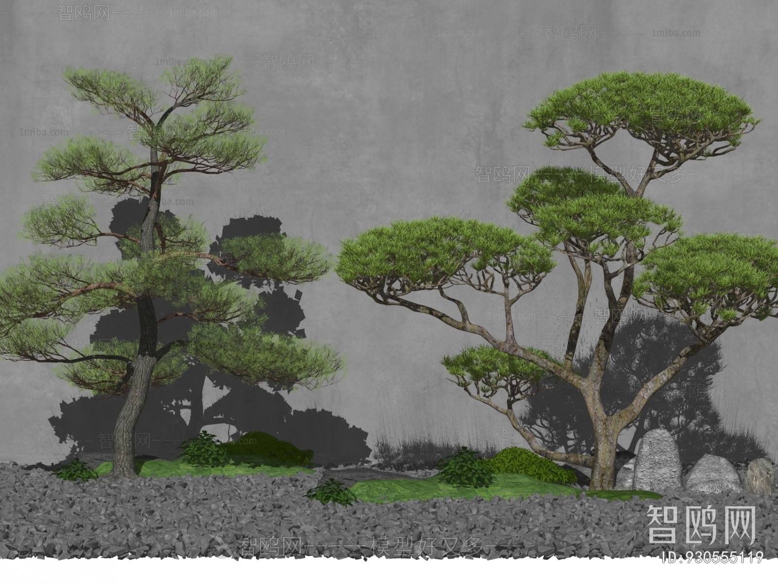 新中式景观树 造型罗汉松