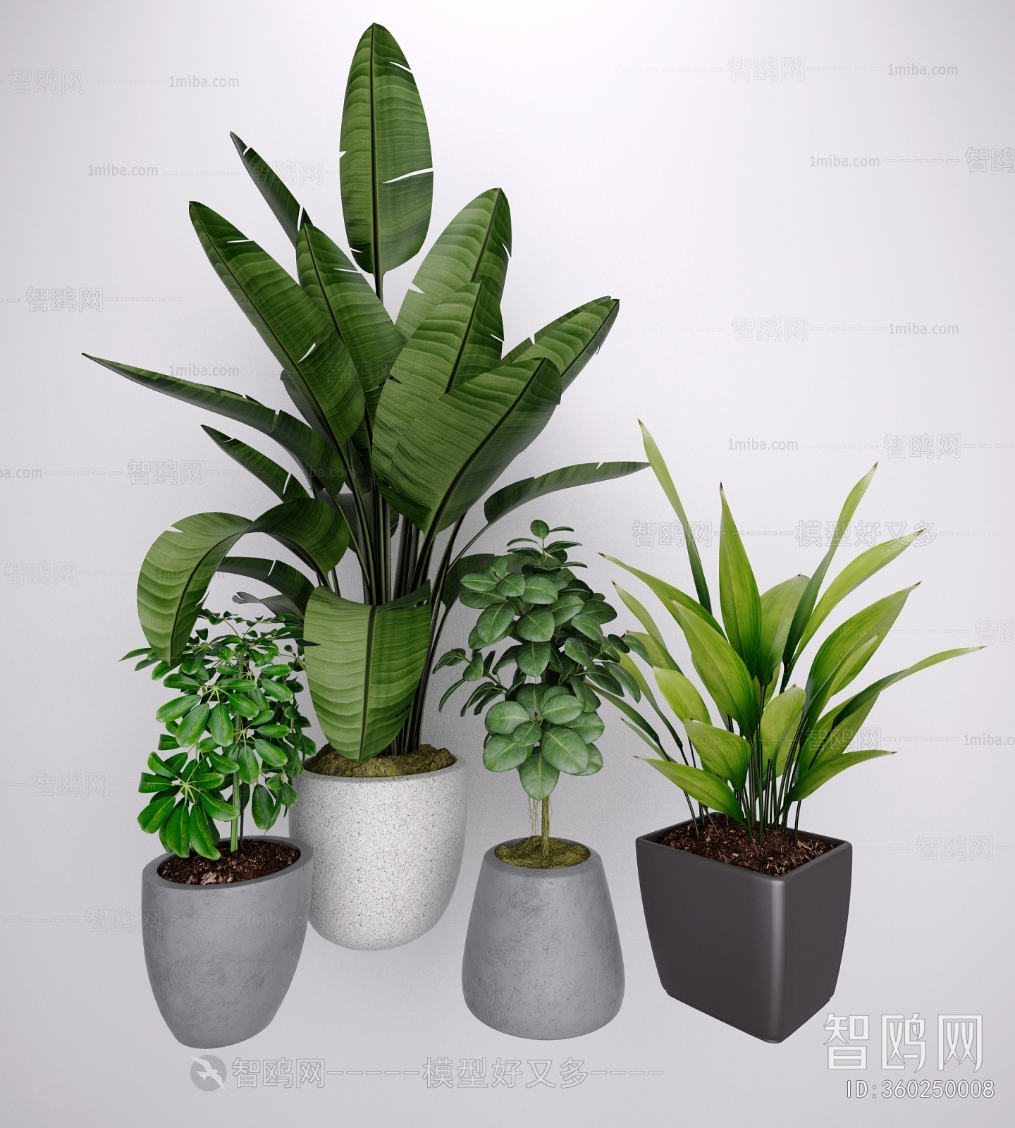 Modern Ground Green Plant Potted Plants