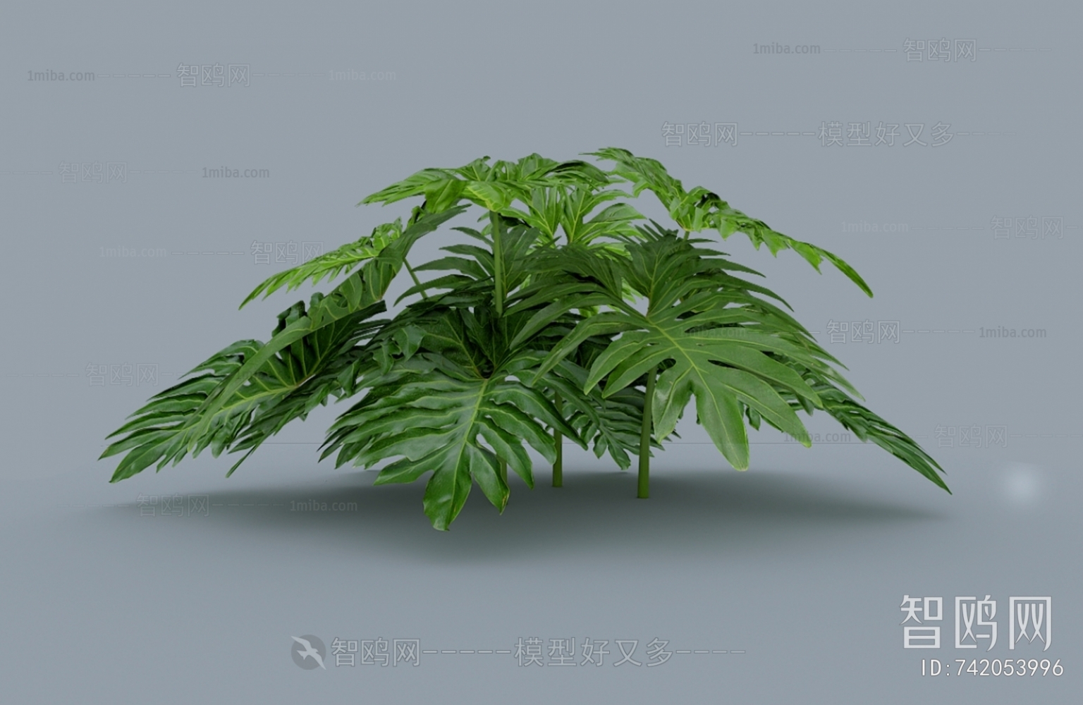 Modern Plant