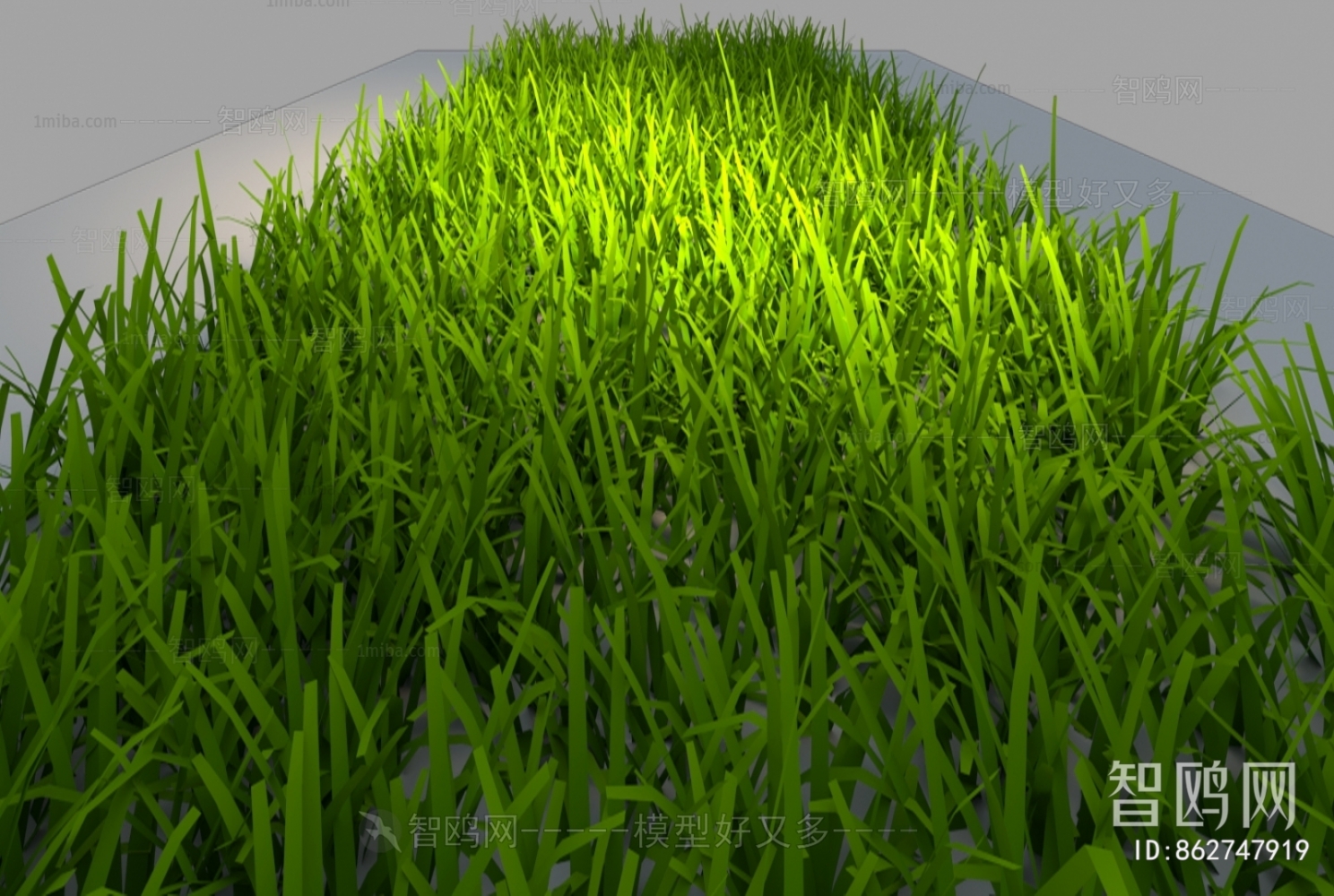 Modern The Grass