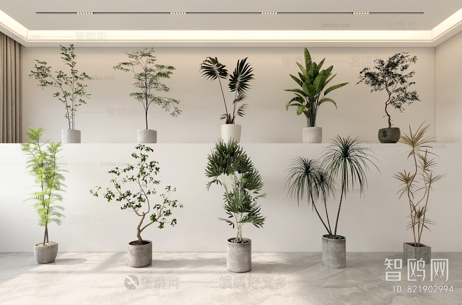 Modern Ground Green Plant Potted Plants