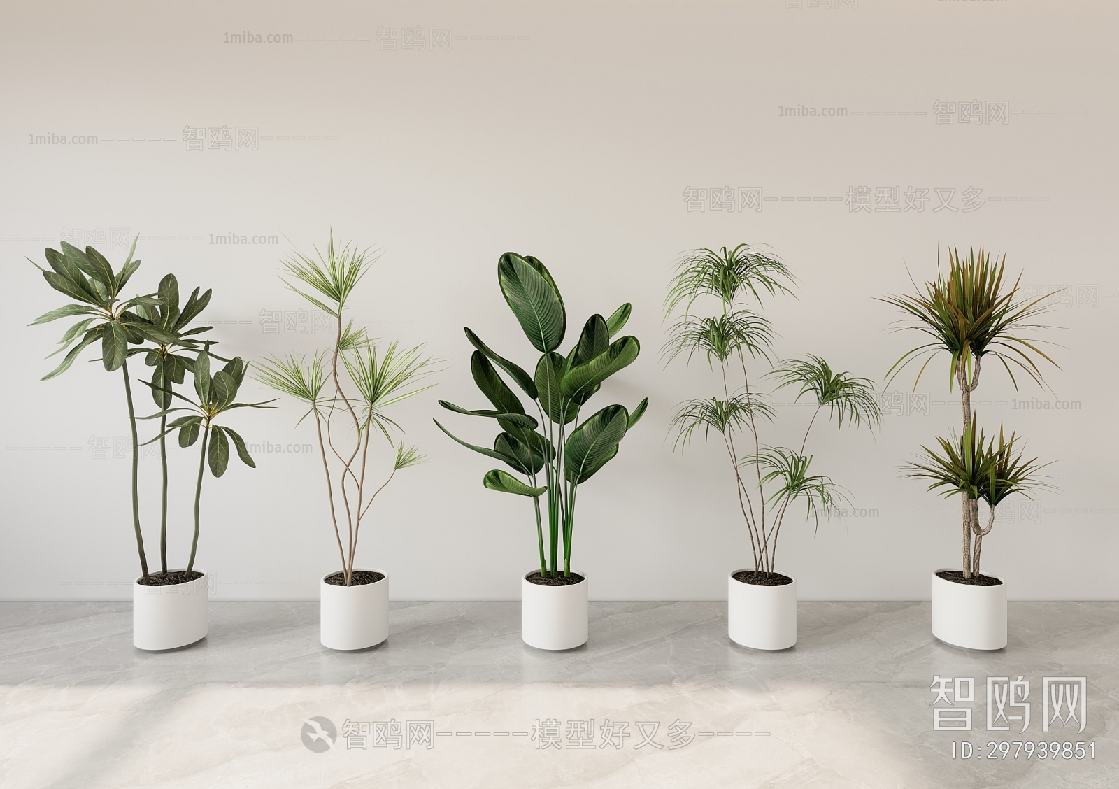 Modern Ground Green Plant Potted Plants