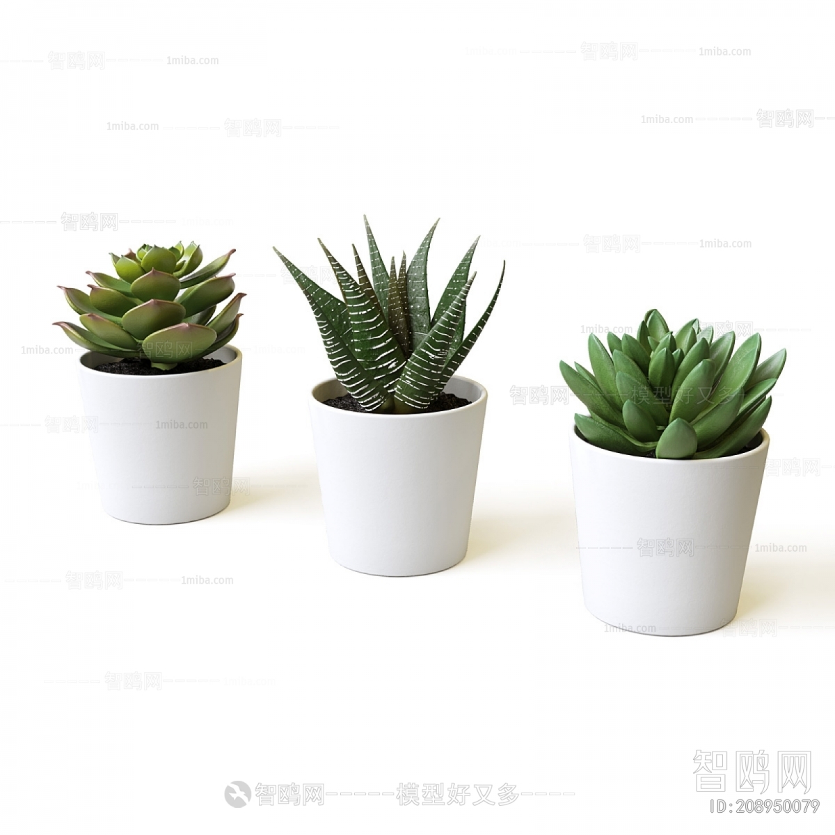 Modern Potted Green Plant