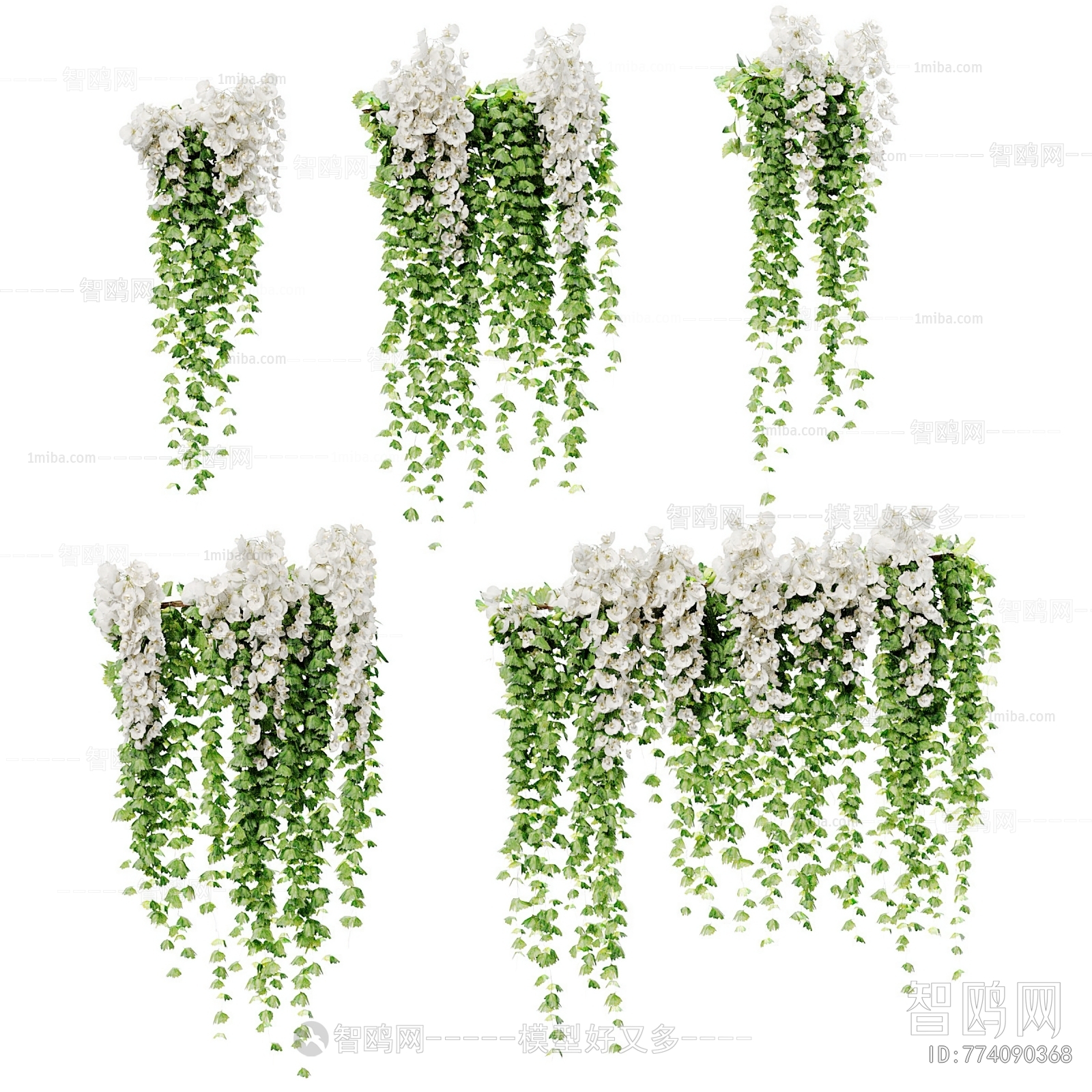 现代兰花藤蔓植物