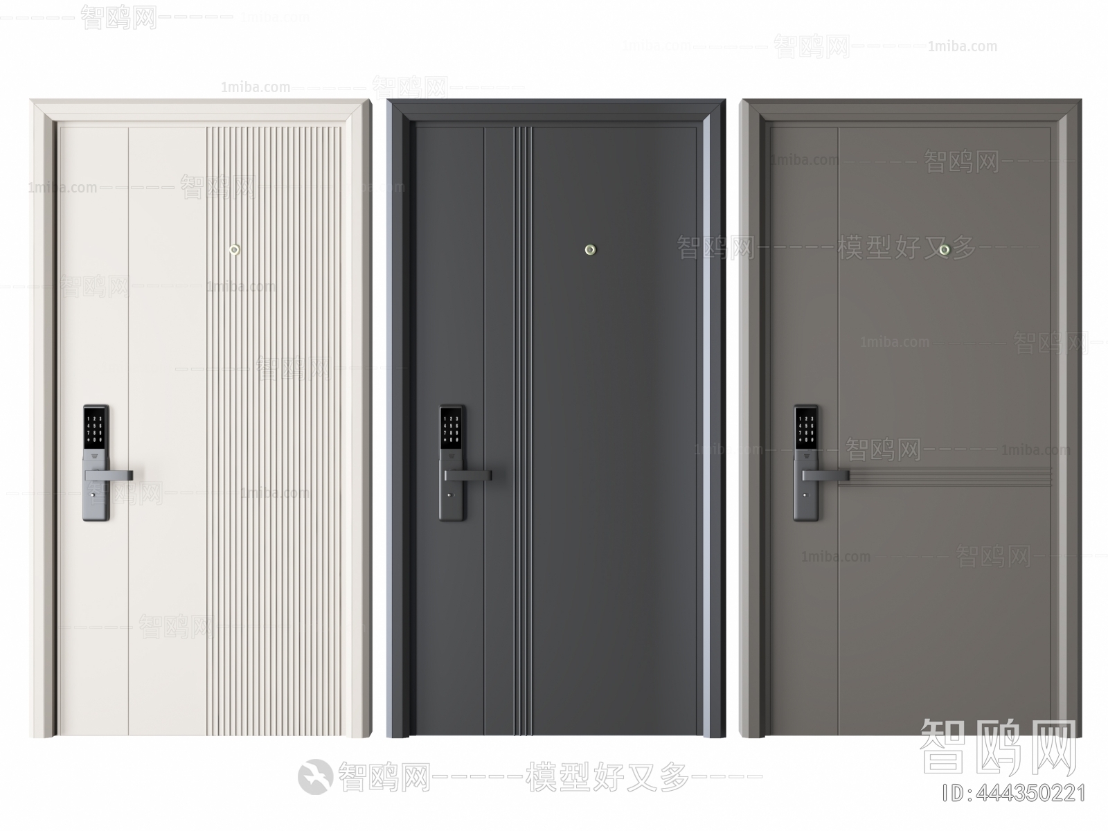 Modern Entrance Door