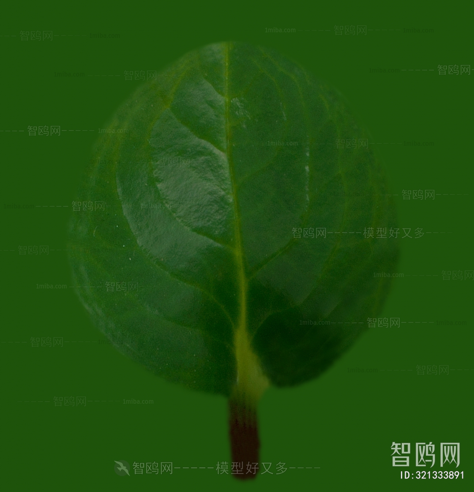 绿植树叶