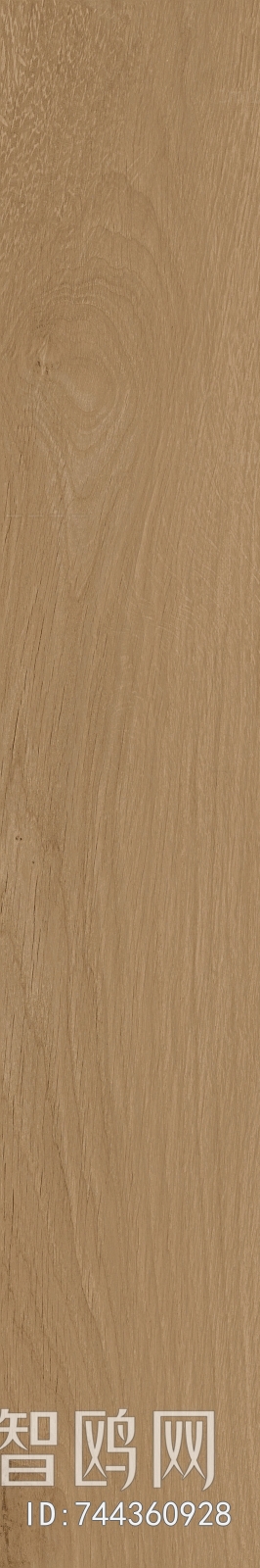 Wood Texture