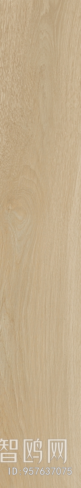 Wood Texture