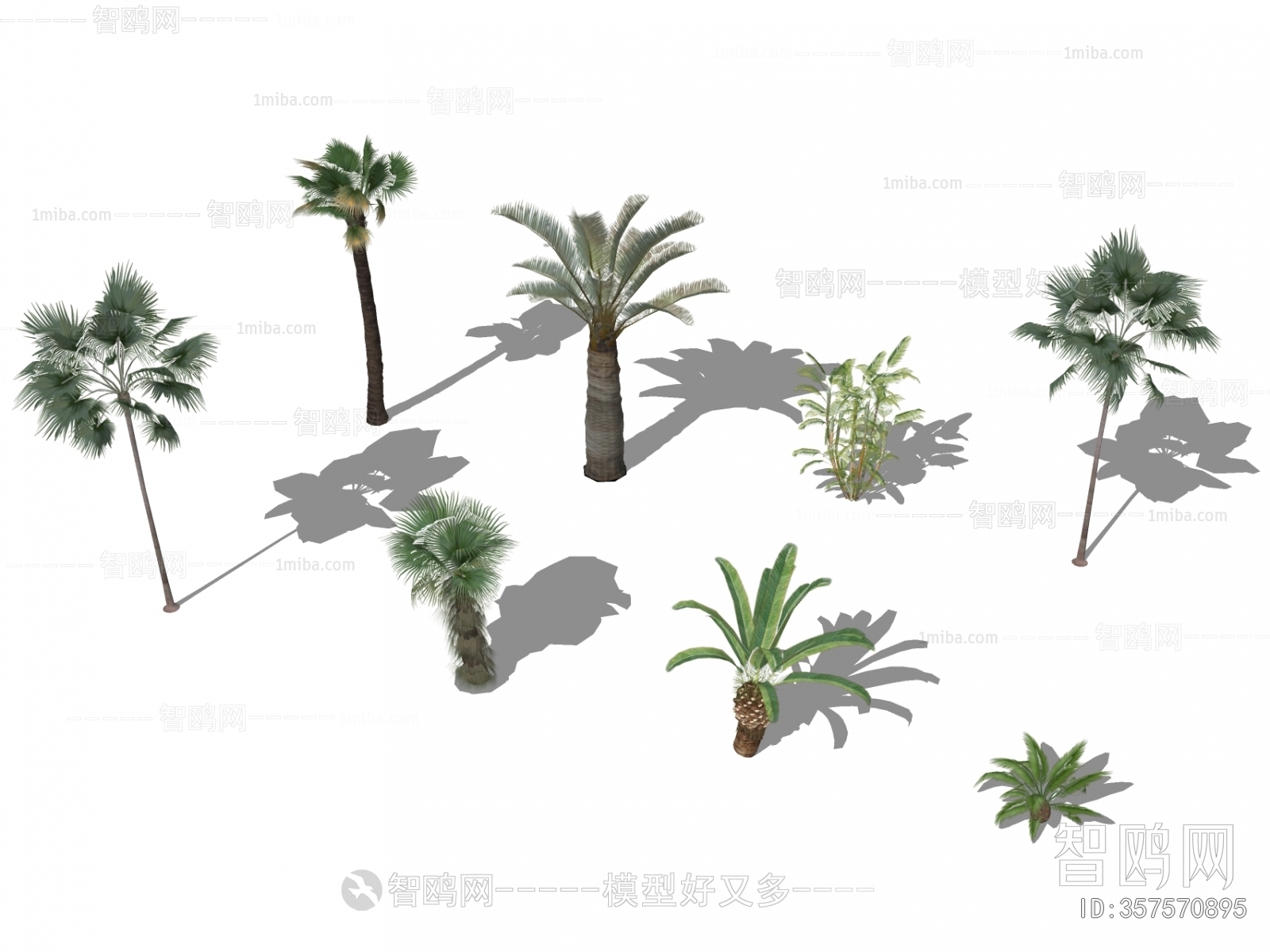 现代景观树 棕榈树 椰子树