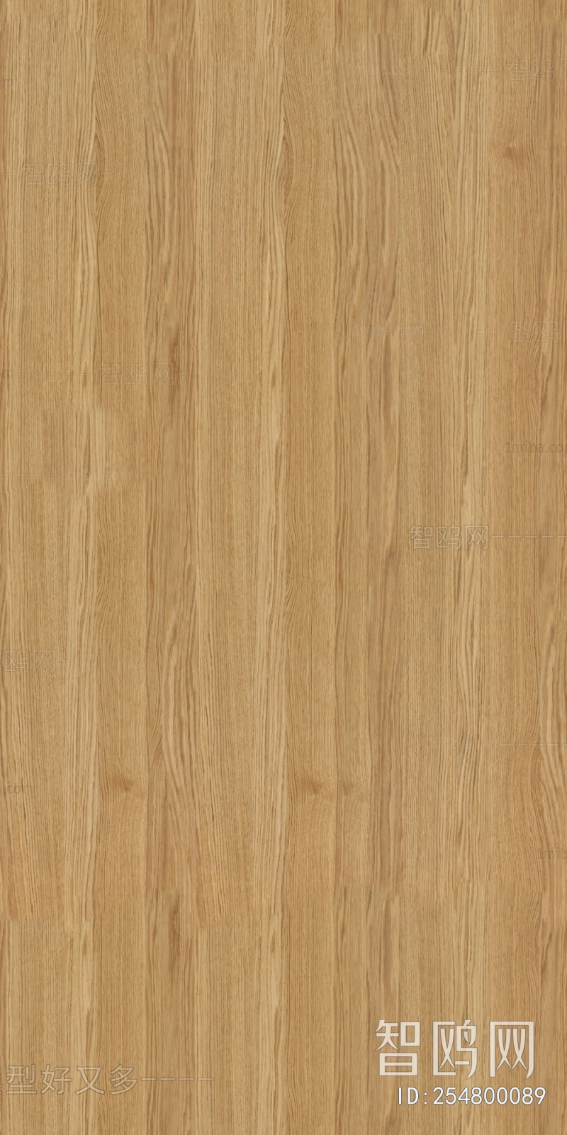 Wood Texture