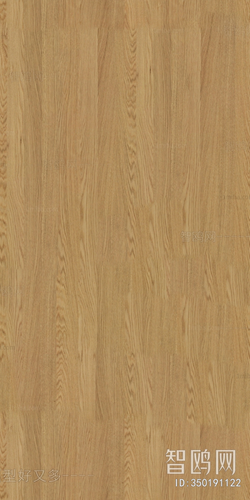 Wood Texture