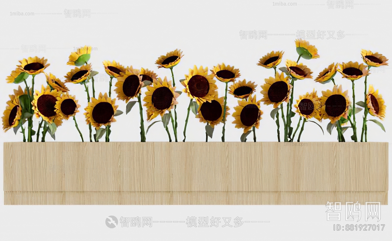 现代花箱 向日葵
