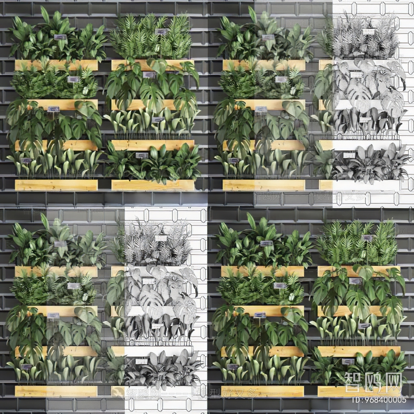 现代植物墙绿植