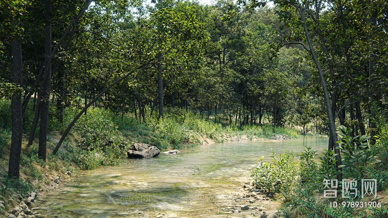 现代树林 河流